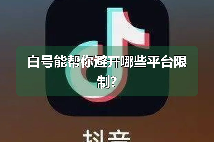 白号能帮你避开哪些平台限制?